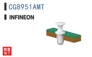 CG8951AMT