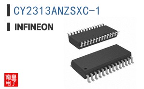 CY2313ANZSXC-1