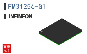 FM31256-G1