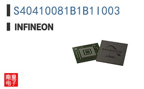 S40410081B1B1I003